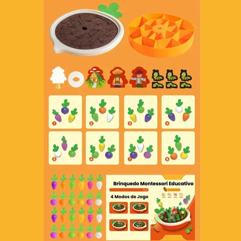 Cenouras Montessori — imagem 10